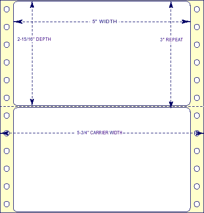 5" x 2-15/16" - Pinfed Blank EDP Label; 1 Label Across; 5,000 Labels/carton - Fanfolded